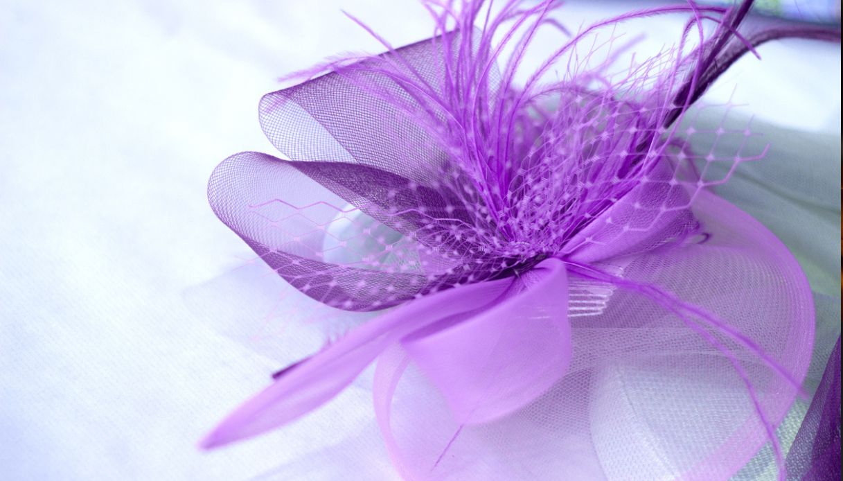Fascinator viola