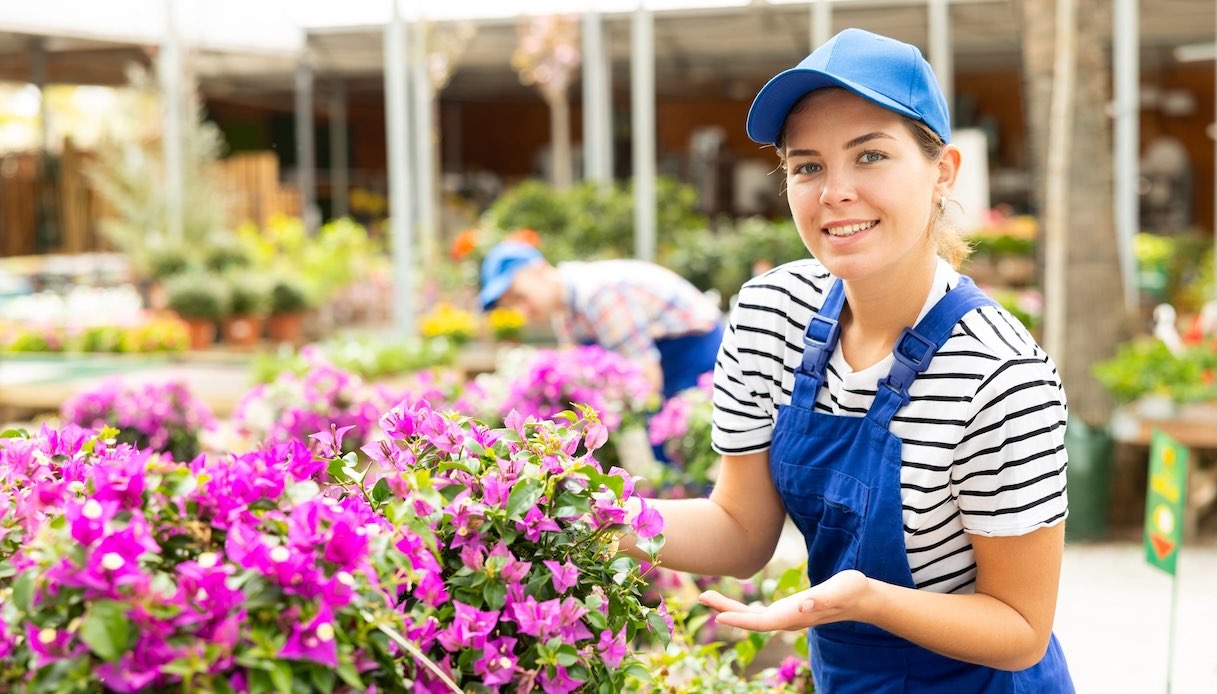 mostre e fiere di piante e fiori il calendario di ottobre 2026 da Dilei.it mostre e fiere di piante e fiori il calendario di ottobre 2026
