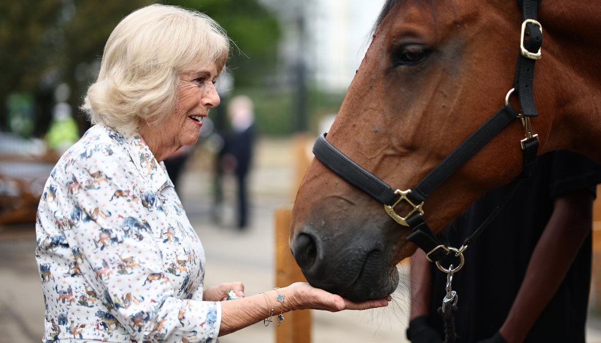 re carlo lascia sola camilla durante la visit224 pi249 cara alla madre elisabetta ii da Dilei.it re carlo lascia sola camilla durante la visit224 pi249 cara alla madre elisabetta ii