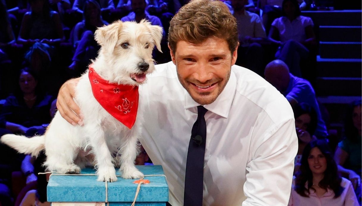 affari tuoi torna in tv dal sostituto di gennarino al nuovo pacco tutte le novit224 da Dilei.it affari tuoi torna in tv dal sostituto di gennarino al nuovo pacco tutte le novit224