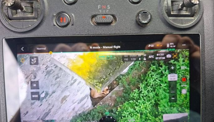 Cane nascosto, avvistato con il drone