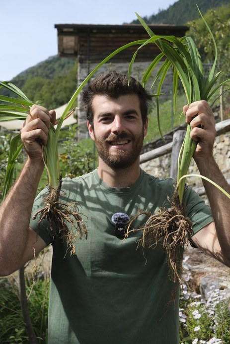 Gian Marco Mapelli tiene sollevati due cespi di Hemerocallis appena divisi, con foglie a nastro e radici carnose bene in vista