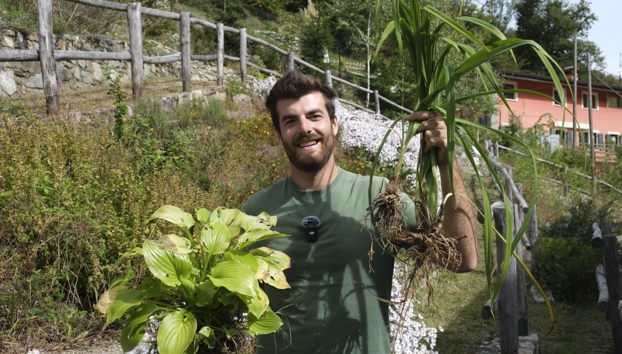 Gian Marco Mapelli sorride mostrando un cespo di Hosta dalle grandi foglie chiare e un cespo di Hemerocallis estratto dal terreno, con il giardino in pendenza alle spalle