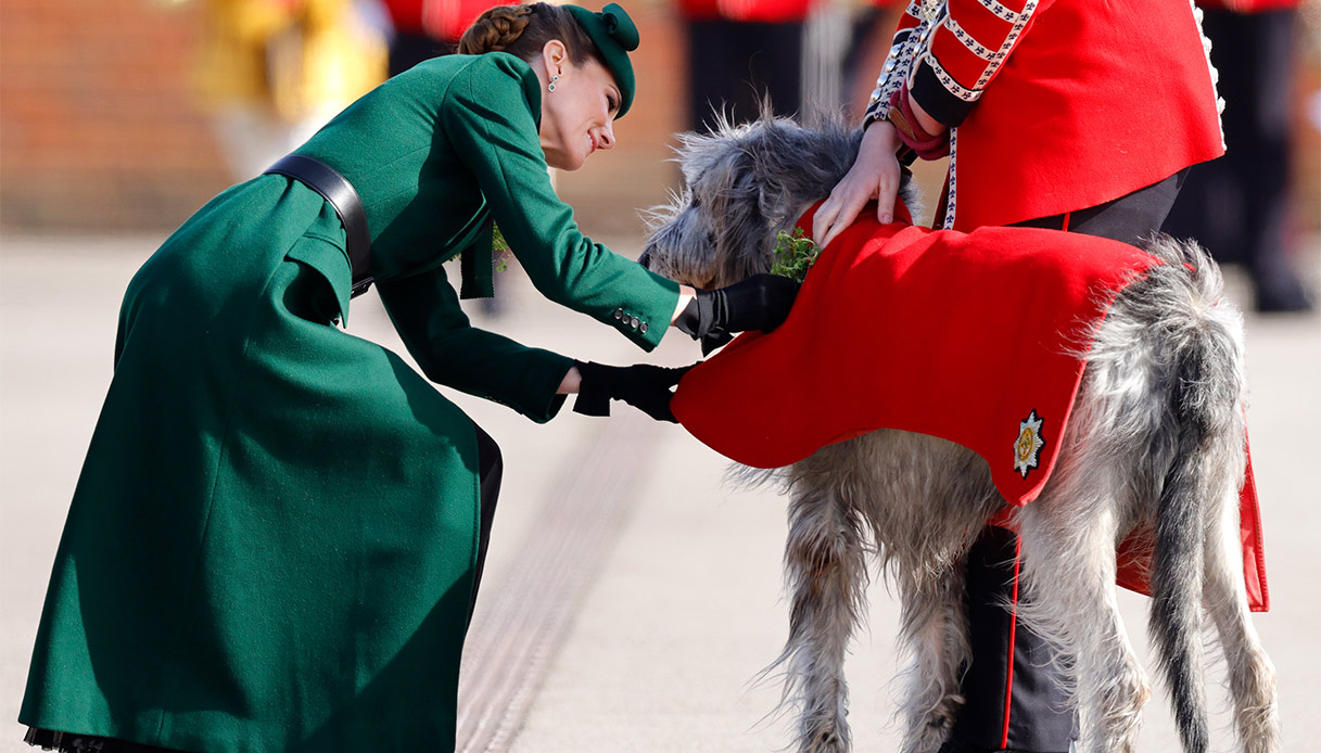 Kate Middleton mascotte Irish Guards