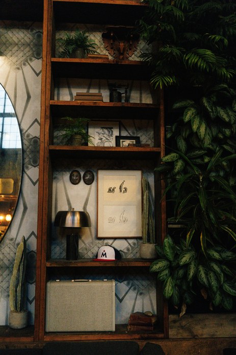 Libreria in legno con felci in vaso, stampe incorniciate, lampada da tavolo in metallo e valigia vintage, su carta da parati a motivi geometrici e accanto a piante rampicanti