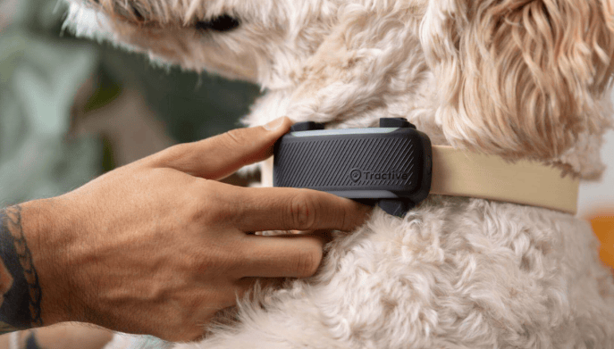 Tractive GPS