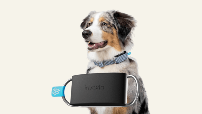 Invoxia Minitailz