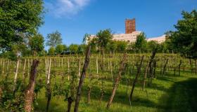 I castelli dell’amore a Montecchio Maggiore, dove vivevano Romeo e Giulietta