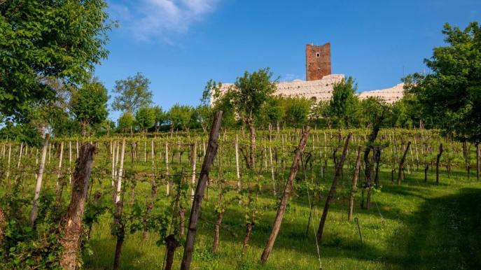 I castelli dell’amore a Montecchio Maggiore, dove vivevano Romeo e Giulietta
