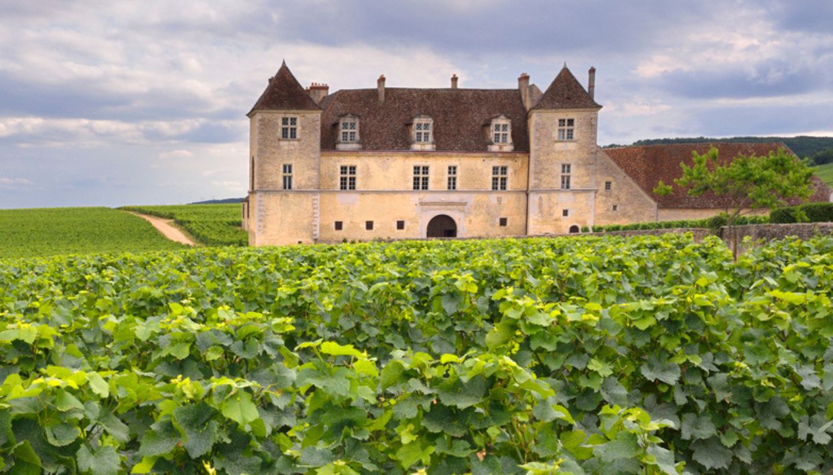 Chateau de Clos de Vougeot, il paesaggio
