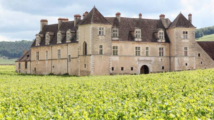 Chateau de Clos de Vougeot, il castello rinascimentale circondato dai vigneti della Borgogna