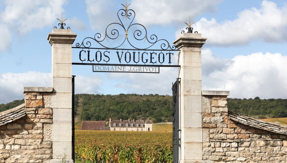 Clos de Vougeot