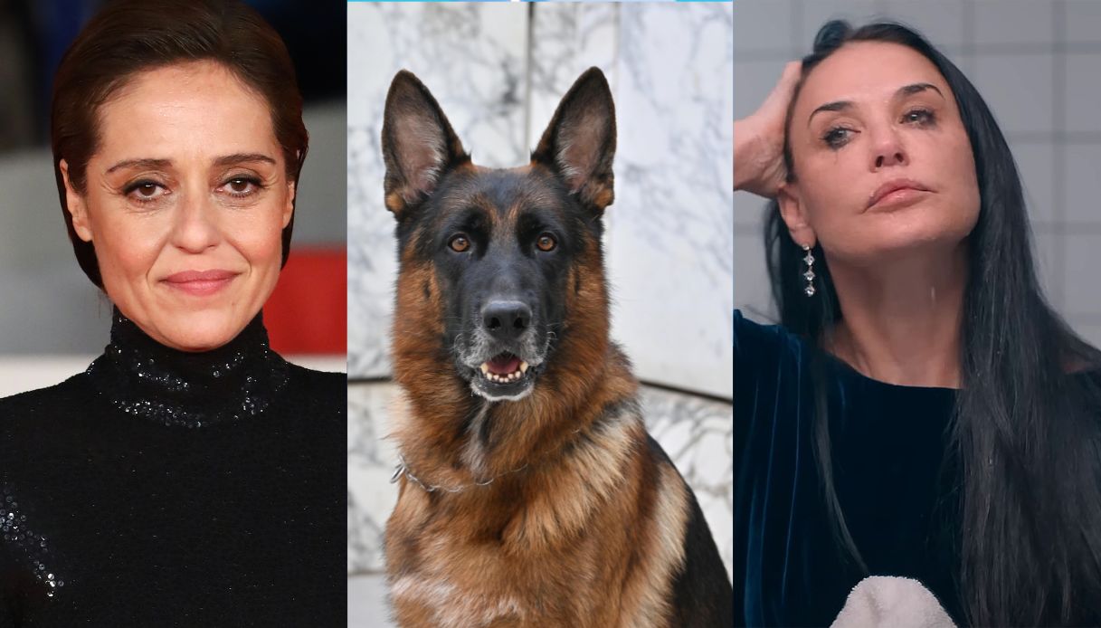 da avetrana al ritorno di rex film e serie tv che vedremo in rai nell8217autunno inverno 2026 da Dilei.it da avetrana al ritorno di rex film e serie tv che vedremo in rai nell8217autunno inverno 2026
