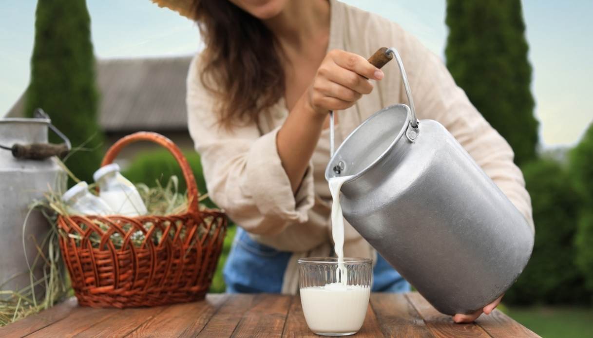 Latte crudo e sicurezza alimentare: facciamo chiarezza sul “non pastorizzato”