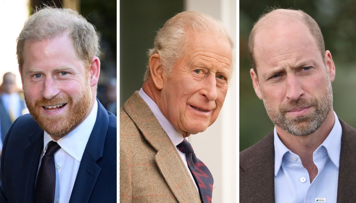 re carlo il tributo a diana per riunire harry e william da Dilei.it re carlo il tributo a diana per riunire harry e william