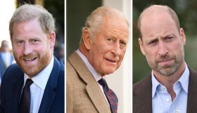 Re Carlo, il tributo a Diana per riunire Harry e William