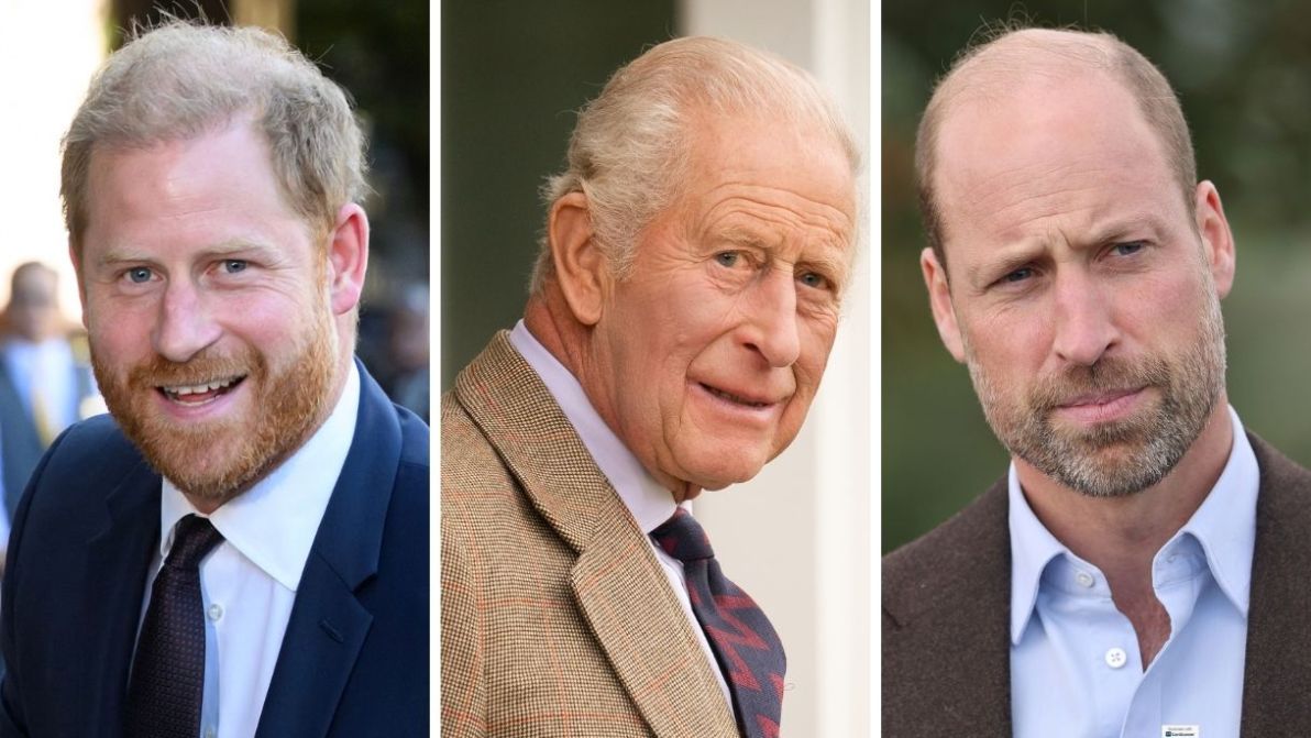 Re Carlo, il tributo a Diana per riunire Harry e William