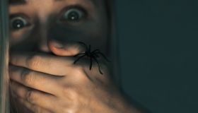 Contro le fobie arriva Peter, il “ragno virtuale” che aiuta a superare le paure