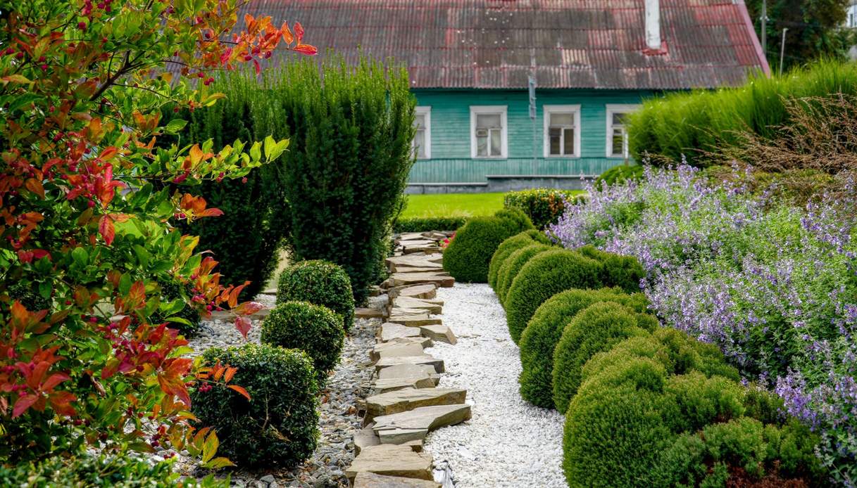 Camminamento in lastre di pietra spaccata tra ghiaia bianca e scaglie grigie, con siepi di bosso potate a sfera, nepeta fiorita viola e arbusti dalle foglie rosse
