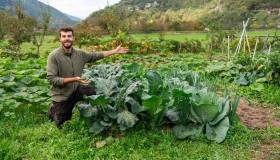Poche mosse d’autunno mettono orto e giardino al riparo dal gelo in arrivo