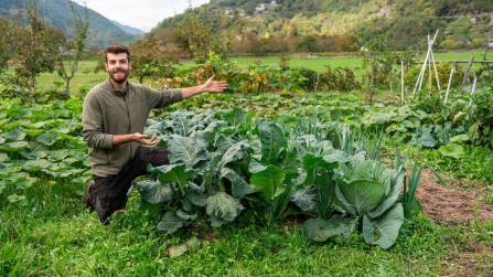 Poche mosse d’autunno mettono orto e giardino al riparo dal gelo in arrivo