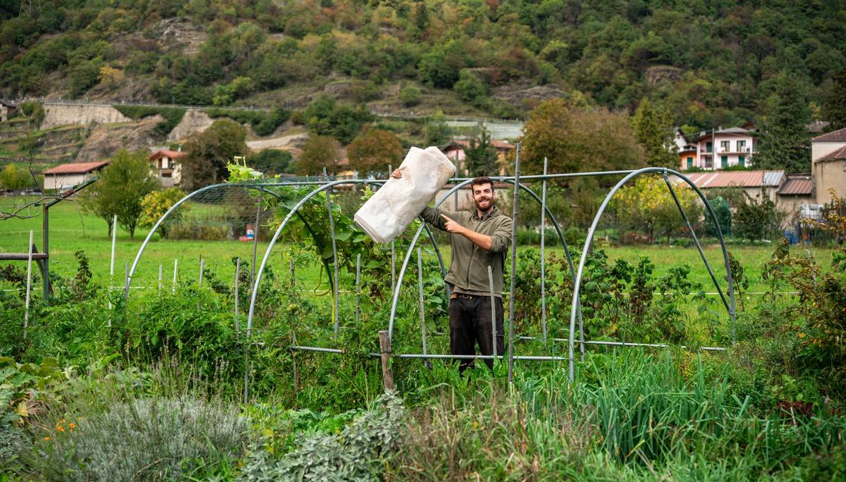 Gian Marco Mapelli in piedi dentro la struttura ad archetti di un tunnel, nell&rsquo;orto, mostra un rotolo di tessuto non tessuto, tra aiuole di salvia, lavanda ed erbe aromatiche