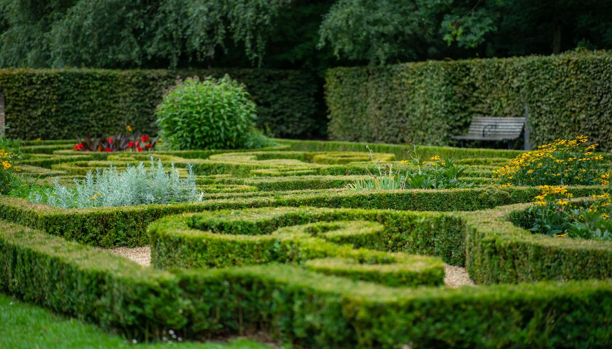 il giardino all8217inglese in cinque regole d8217oro tra linee curve bordure e acqua da Dilei.it il giardino all8217inglese in cinque regole d8217oro tra linee curve bordure e acqua