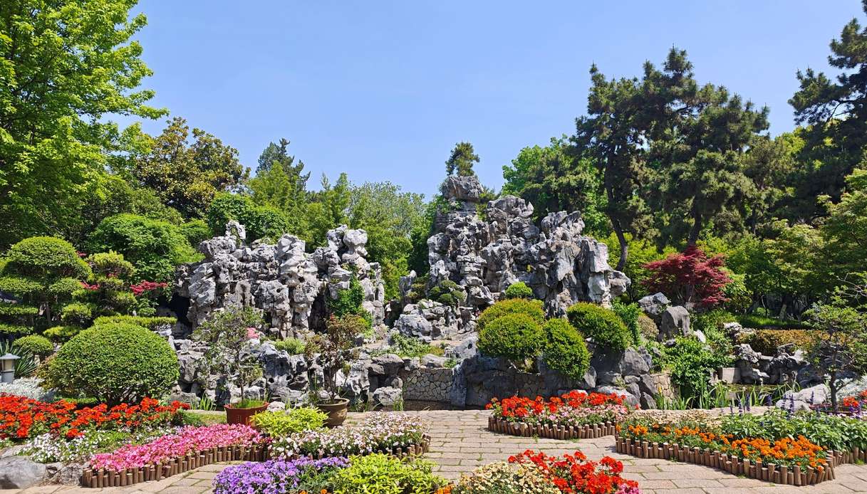 giardini rocciosi la bellezza minerale che chiede poca acqua e ancora meno fatica da Dilei.it giardini rocciosi la bellezza minerale che chiede poca acqua e ancora meno fatica