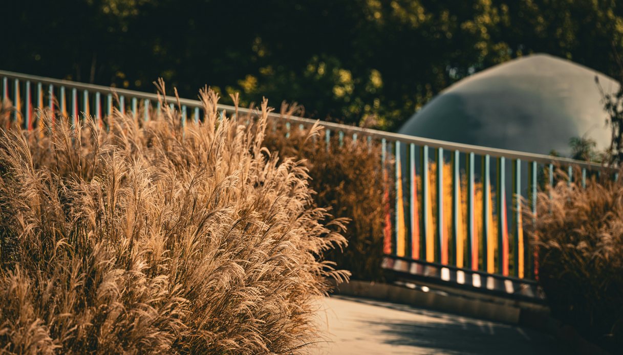 a settembre comincia il vero anno del giardino con i dry meadows e la semina autunnale da Dilei.it a settembre comincia il vero anno del giardino con i dry meadows e la semina autunnale