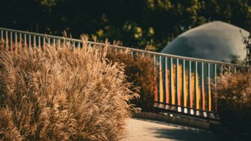 A settembre comincia il vero anno del giardino, con i Dry Meadows e la semina autunnale
