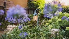 Dopo The Venice Glass Week 2026, come portare il vetro artistico dentro casa
