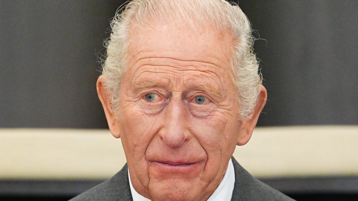 Re Carlo, il vero piano per gestire il problema Harry dopo le dichiarazioni di riconciliazione
