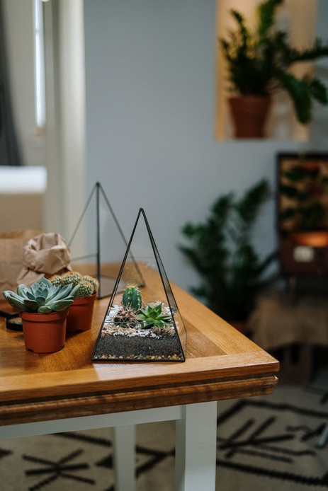 Terrarium aperto a piramide in vetro e metallo con cactus e succulente su sabbia e ghiaia, appoggiato su un tavolo in legno accanto a piante grasse in vaso