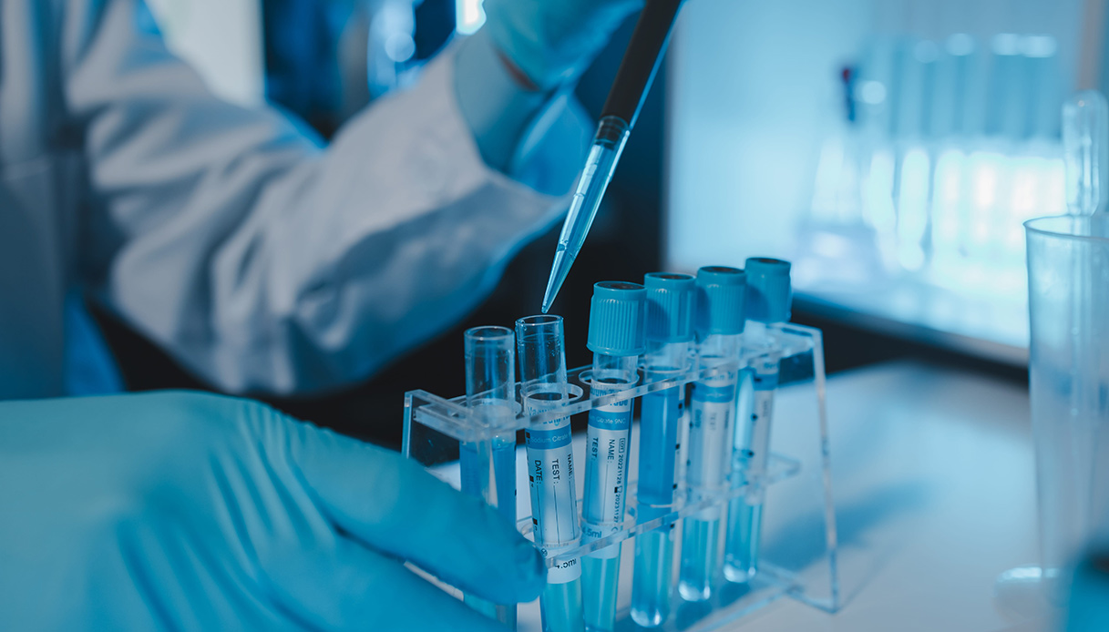 Virus Shamonda, cos’è, come si trasmette, cosa occorre sapere