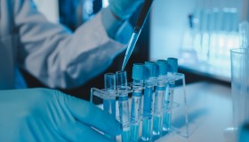 Virus Shamonda, cos’è, come si trasmette, cosa occorre sapere